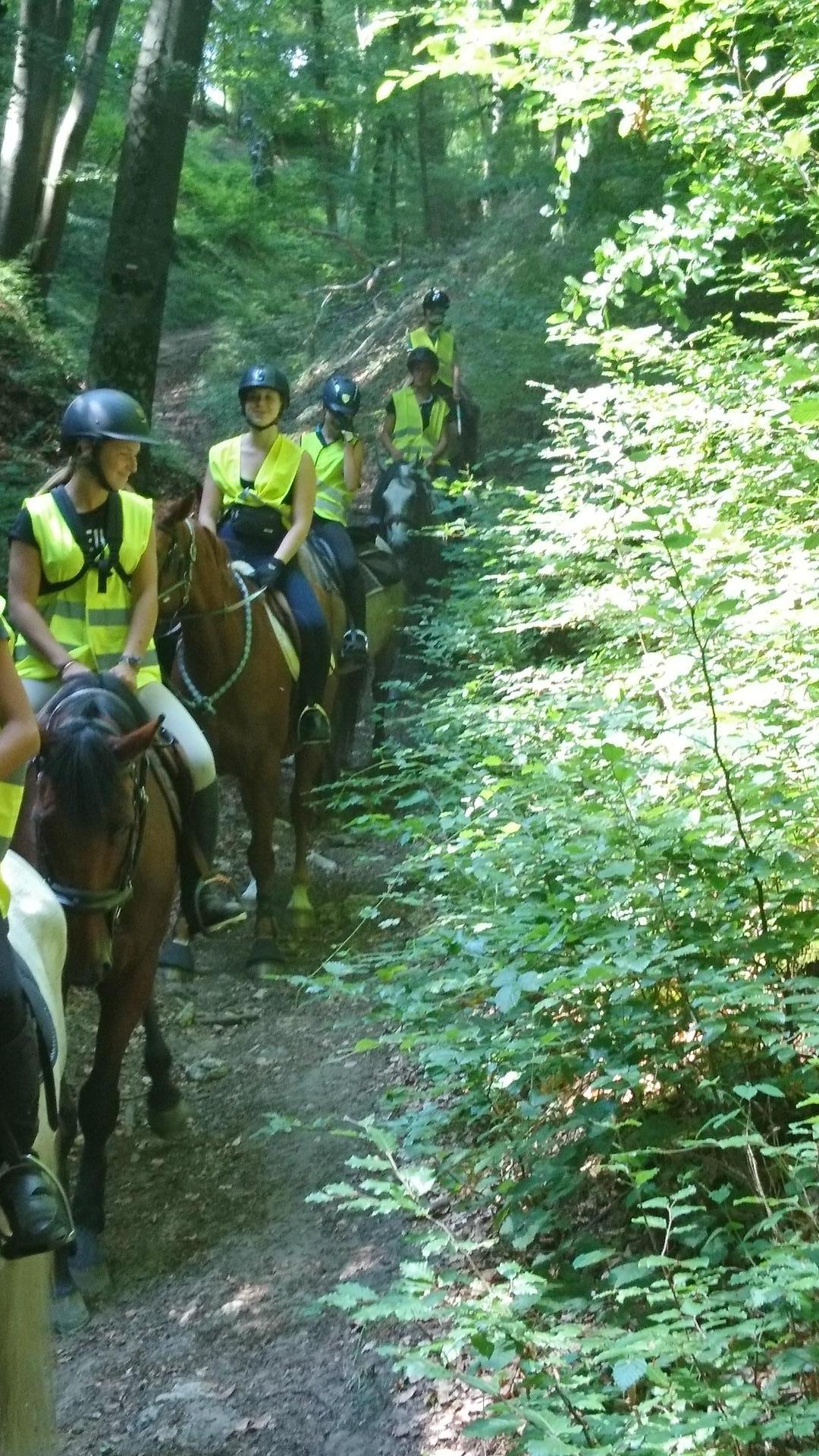 Nous apprecions la fraicheur de nos forets